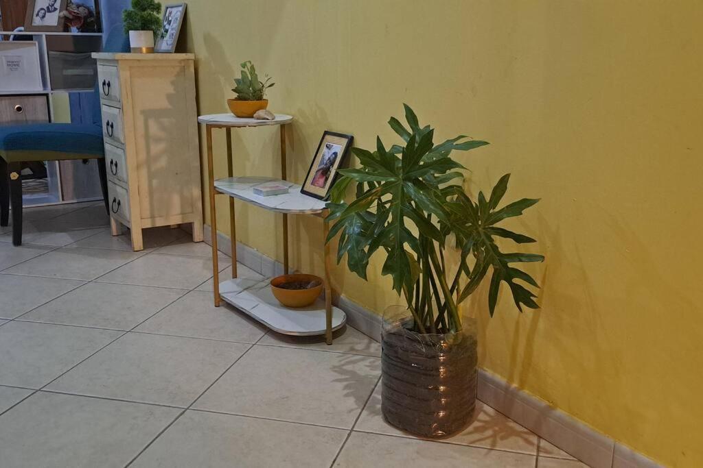 Mendes Family Homestay - B&B In The Heart Of 프라이아 외부 사진
