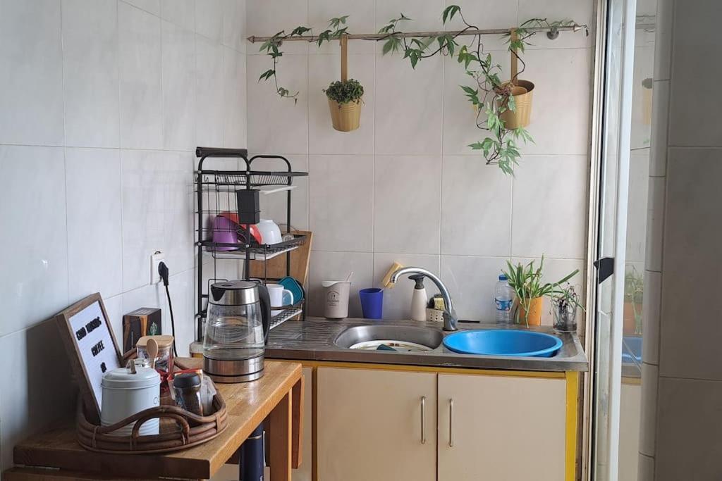 Mendes Family Homestay - B&B In The Heart Of 프라이아 외부 사진