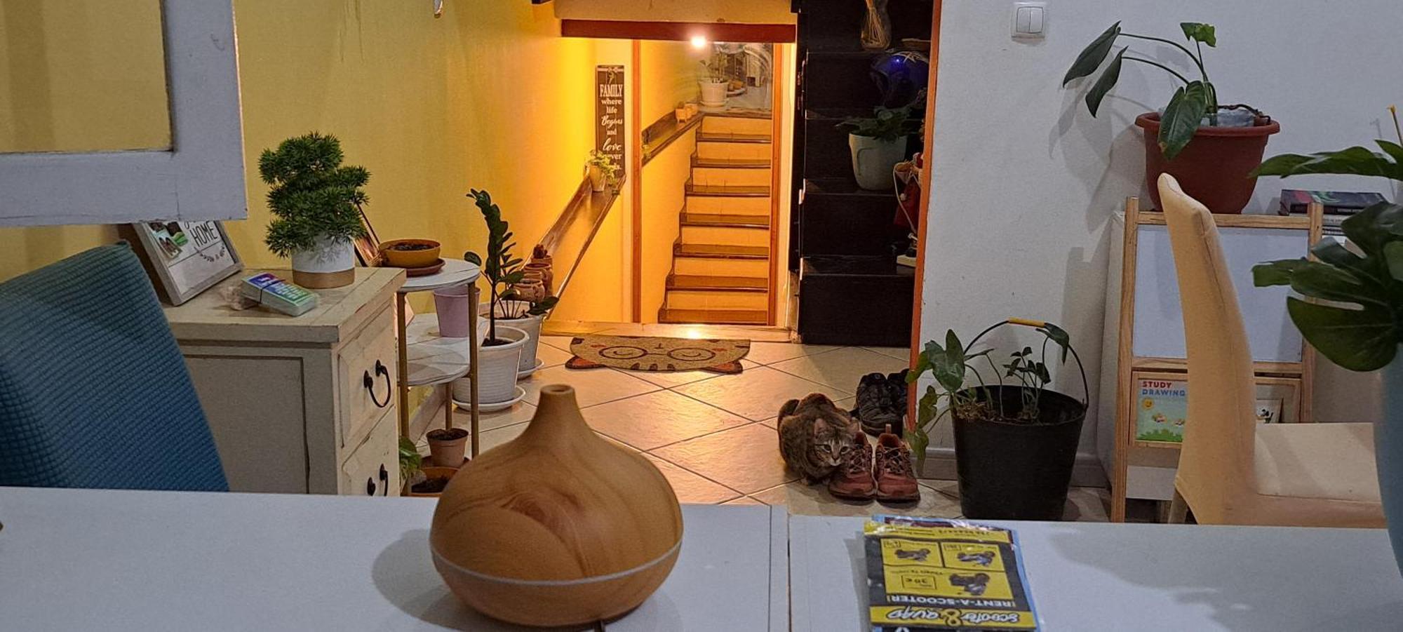 Mendes Family Homestay - B&B In The Heart Of 프라이아 외부 사진